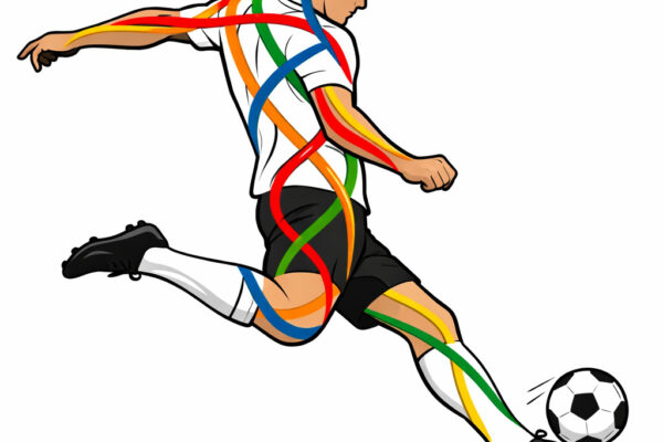 Anatomické línie Anatomy Trains od Thomas Myers